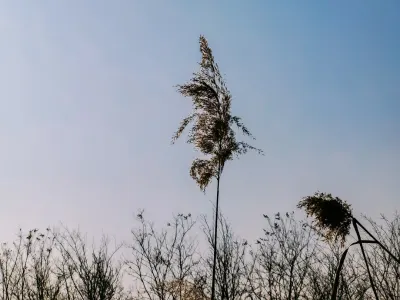 Бит4уин Казино Мобилно приложение